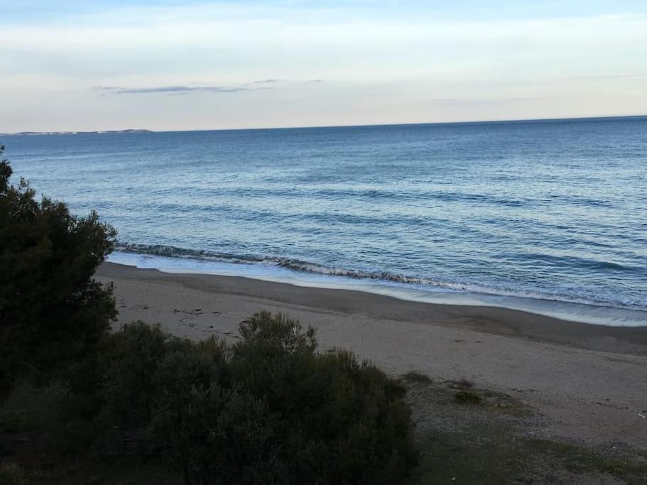 Beach-Lovers - Apartamento 1Era Linia Mar Miami Playa Zewnętrze zdjęcie
